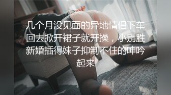 几个月没见面的异地情侣下车回去掀开裙子就开操，小别胜新婚插得妹子抑制不住的呻吟起来