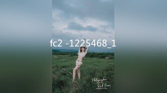 fc2 -1225468_1