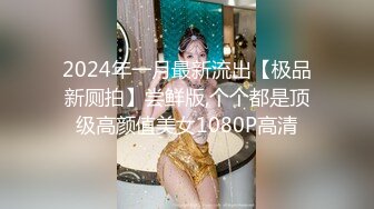 2024年一月最新流出【极品新厕拍】尝鲜版,个个都是顶级高颜值美女1080P高清