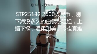 STP25132 2600人民币，刚下海没多久的白领小姐姐，上插下抠，温柔甜美，今夜真难忘