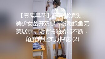 【壹屌寻花】超清4K镜头，美少女岔开双腿，粉嫩鲍鱼完美展示，激情啪啪娇喘不断，角度专业实力探花 (2)