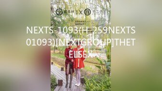 NEXTS-1093(H_259NEXTS01093)[NEXTGROUP]THETELSEX