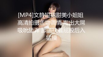 [MP4]文静短裙甜美小姐姐 高清拍摄舌吻调情 掏出大屌吸吮舔弄 舔逼扶着屁股后入猛操