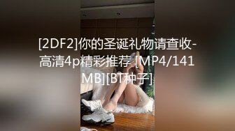 [2DF2]你的圣诞礼物请查收-高清4p精彩推荐 [MP4/141MB][BT种子]