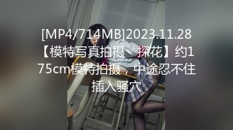 [MP4/714MB]2023.11.28【模特写真拍摄丶探花】约175cm模特拍摄，中途忍不住插入骚穴