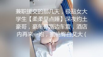 兼职援交的那几天，极品女大学生【柔柔早点睡】深夜约土豪哥，豪车停路边车震，酒店内再来一炮，蜜桃臀白又大 (3)