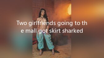 Two girlfriends going to the mall got skirt sharked