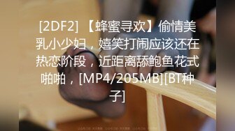 [2DF2] 【蜂蜜寻欢】偷情美乳小少妇，嬉笑打闹应该还在热恋阶段，近距离舔鲍鱼花式啪啪，[MP4/205MB][BT种子]