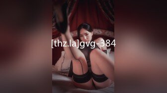 [thz.la]gvg-384