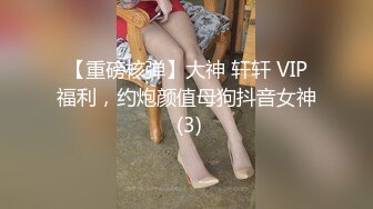 【重磅核弹】大神 轩轩 VIP福利，约炮颜值母狗抖音女神 (3)