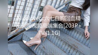 Nicolovecc六七自购回血精品美图视频高端集合[203P+7V/1.1G]