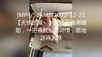 [MP4/504MB]2022-12-21【无情的屌丶】大奶肥臀美御姐，一进来就推到调情，跪地舔弄大屌