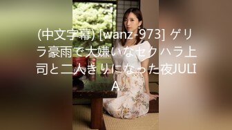 (中文字幕) [wanz-973] ゲリラ豪雨で大嫌いなセクハラ上司と二人きりになった夜JULIA