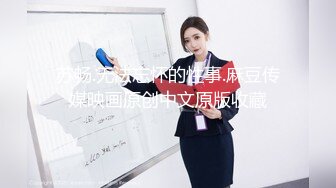 苏畅.无法忘怀的性事.麻豆传媒映画原创中文原版收藏