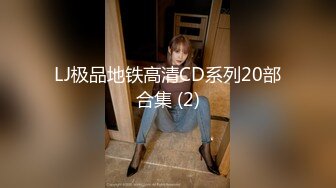 LJ极品地铁高清CD系列20部合集 (2)