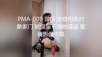 PMA-009 苗苗 走错相亲对象家门 被强留下操她骚逼 蜜桃影像传媒