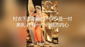 衬衣下面隐藏的不仅仅是一对美乳 还有一个 闷骚的内心