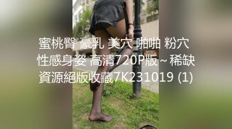 蜜桃臀 豪乳 美穴 啪啪 粉穴 性感身姿 高清720P版～稀缺資源絕版收藏7K231019 (1)